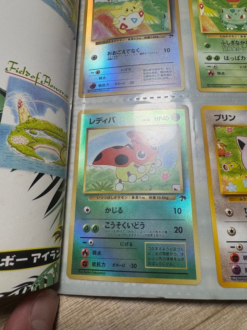 【美品】希少！レインボーアイランド サザンアイランド ポケモンカードゲーム