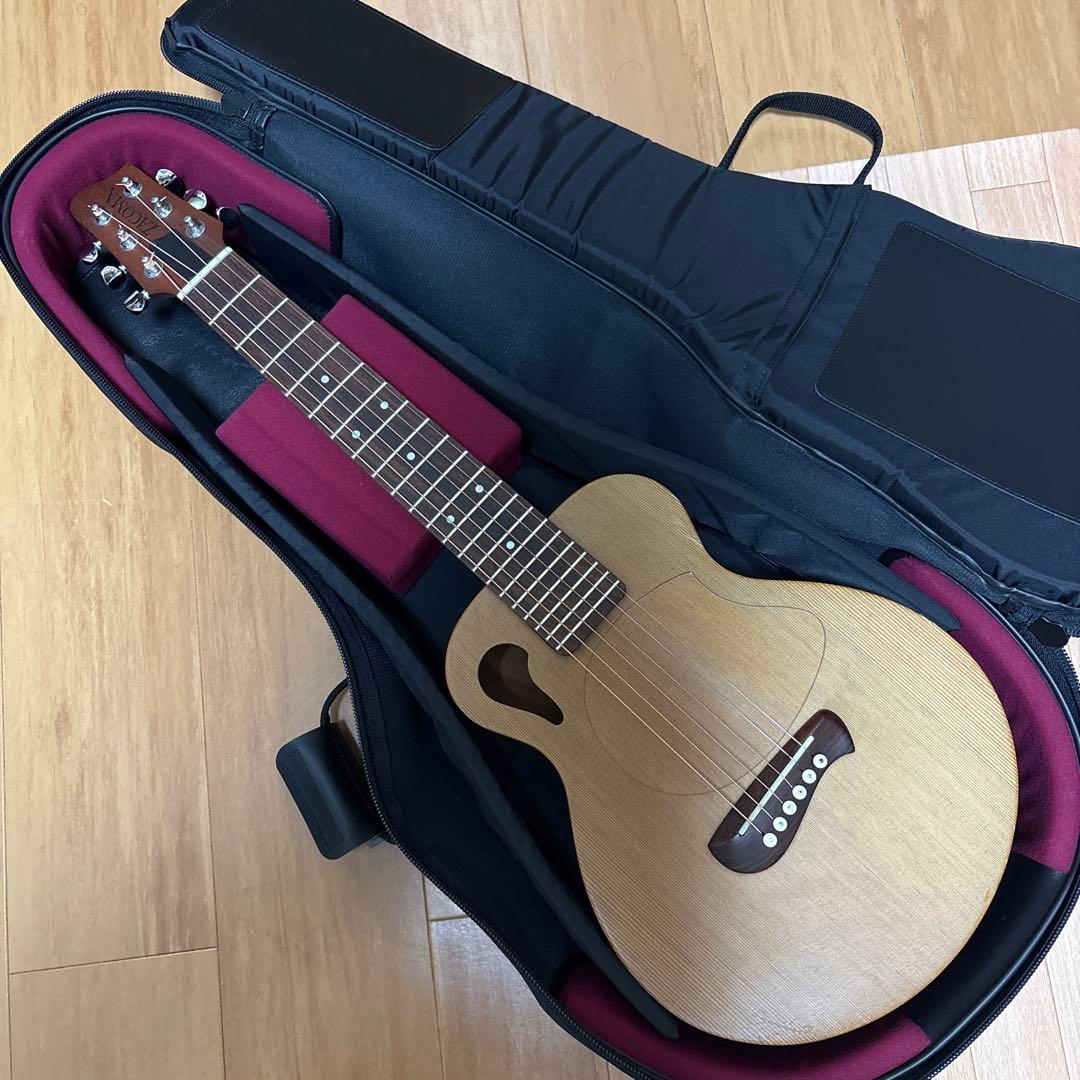 最終　レア　Tacoma P1パプース　ナスカケース付き