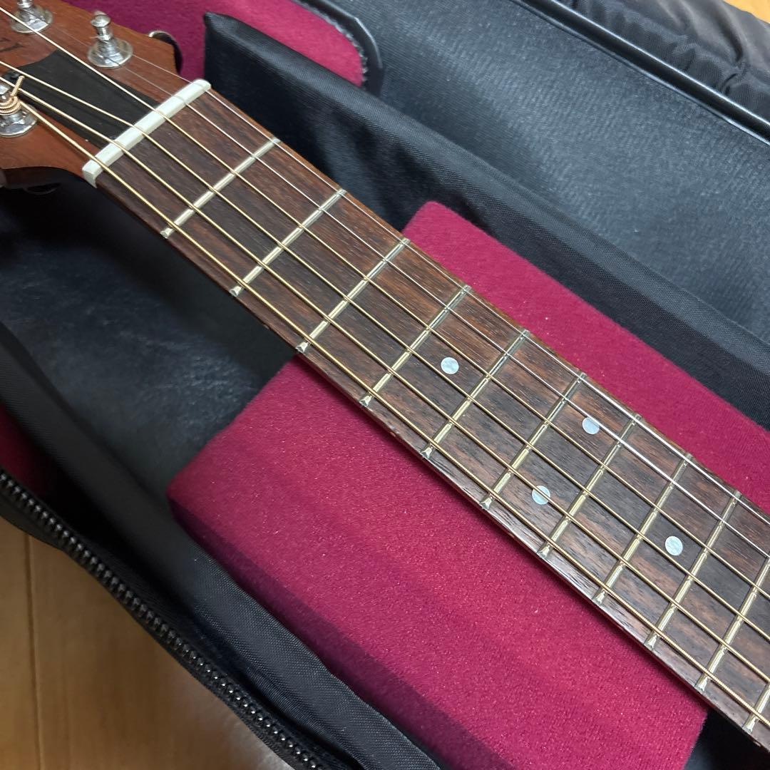 最終　レア　Tacoma P1パプース　ナスカケース付き