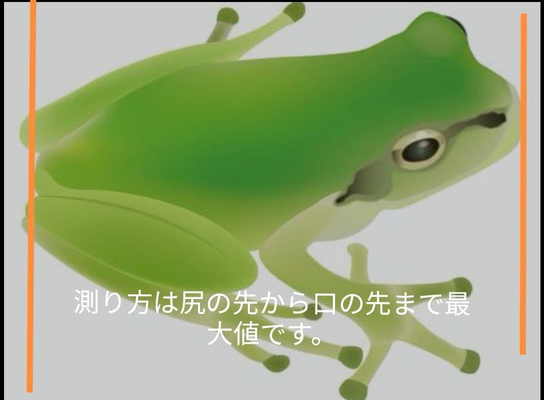 5百匹【冷凍】S 餌用カエル ヌマガエル 蛇の餌 爬虫類 ピンクマウスの代用