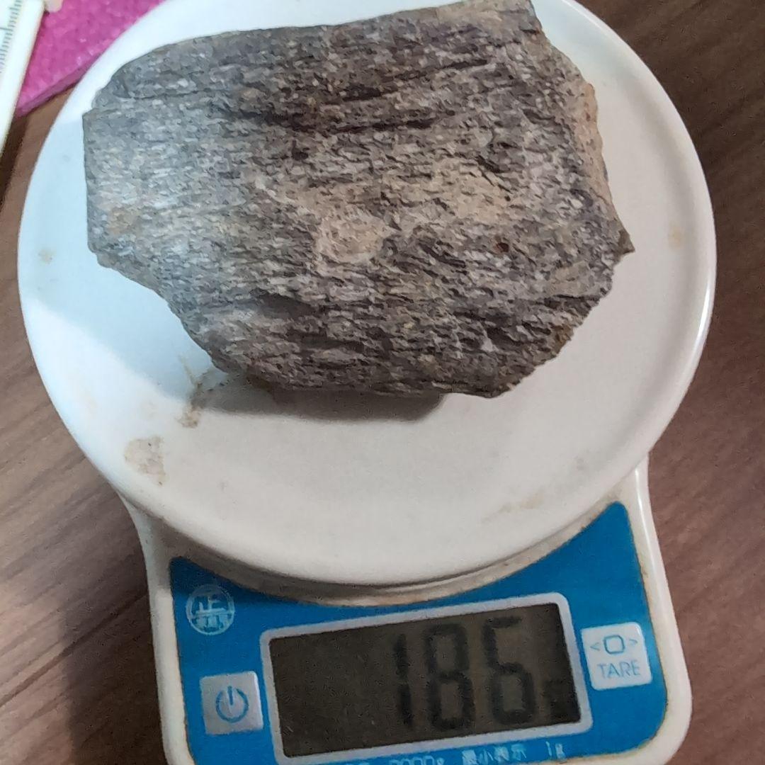 本物　ランベオサウルス　頬骨化石　186グラム　ラベル付き