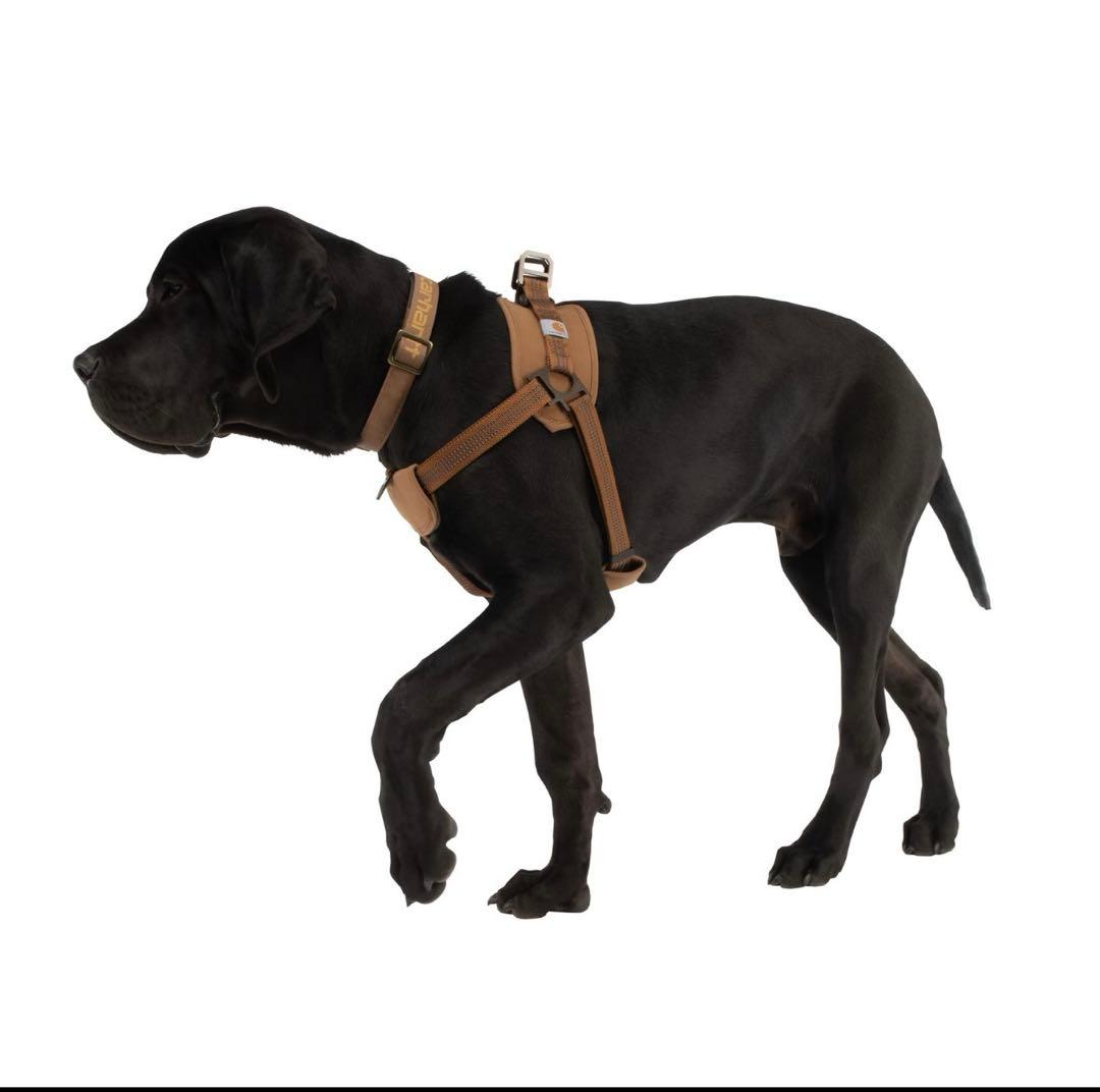 【ほぼ未使用】 カーハート ドッグハーネス&リードセットSサイズ格安早い者勝ち！