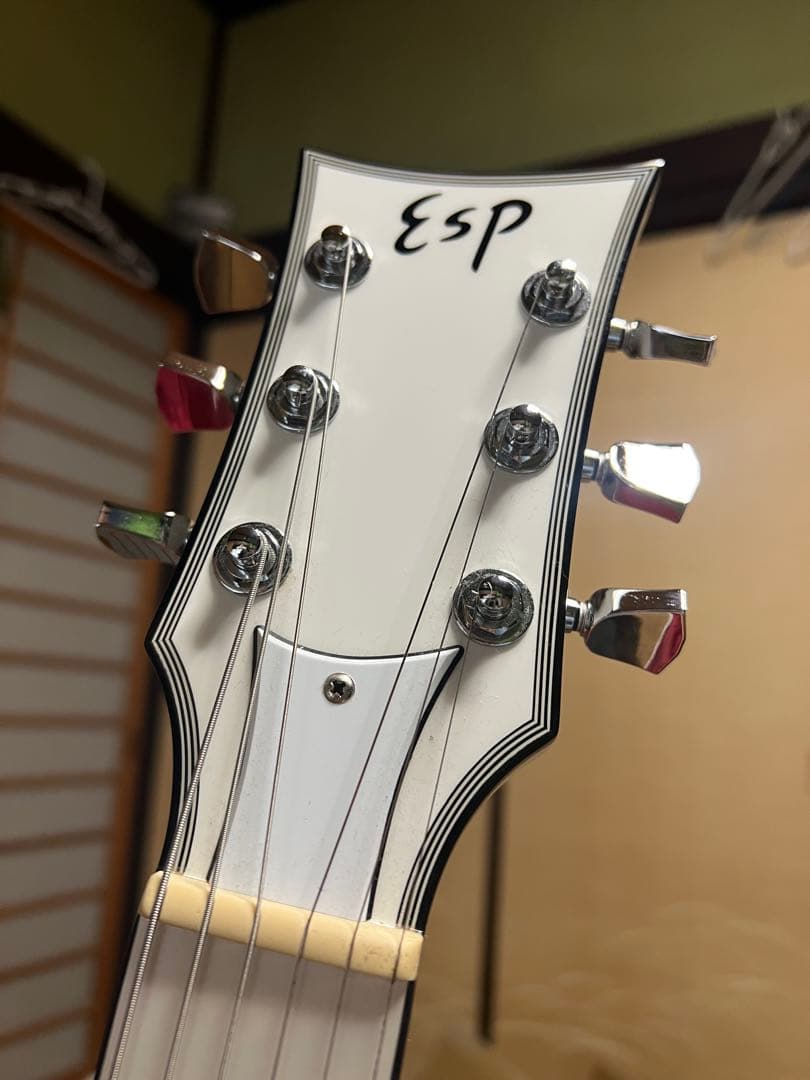 ESP eclipse カスタムオーダーメイド