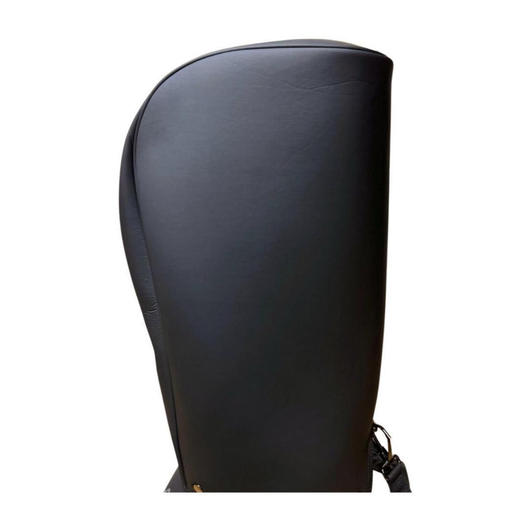 PUMA ゴルフバッグ ブラック キャディバッグ ゴルフ 5口