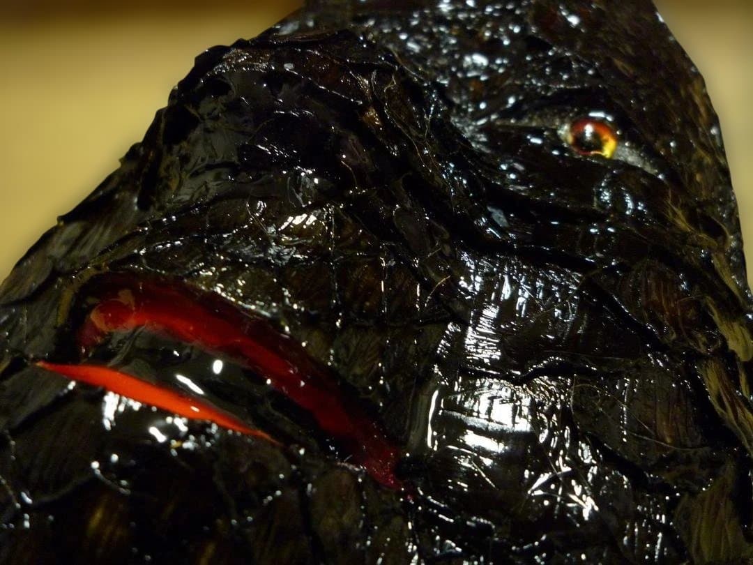 小面の面表面にワニ革（カイマン）と蛇革（パイソン）を張った作品