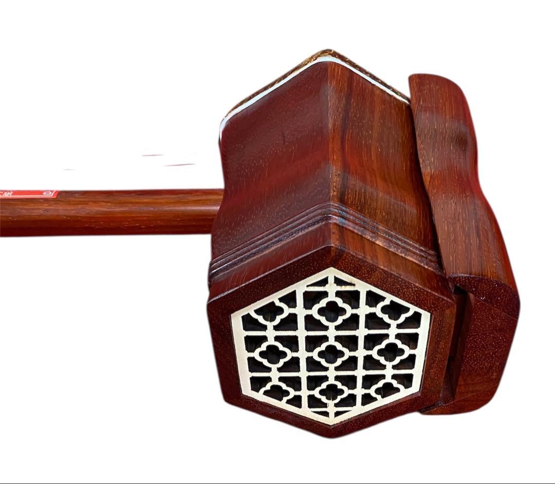 二胡 紅木 蛇皮 セミハードケースセット