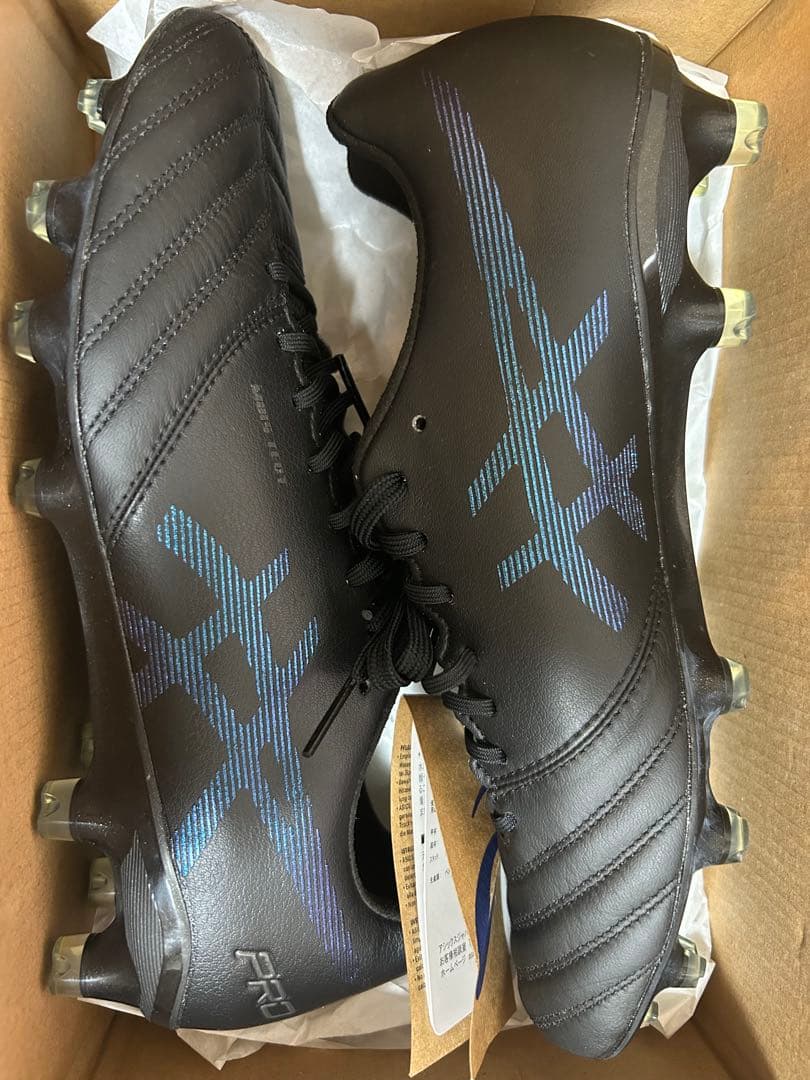 新品未使用 アシックス DSライト エックスフライ プロ 25cm