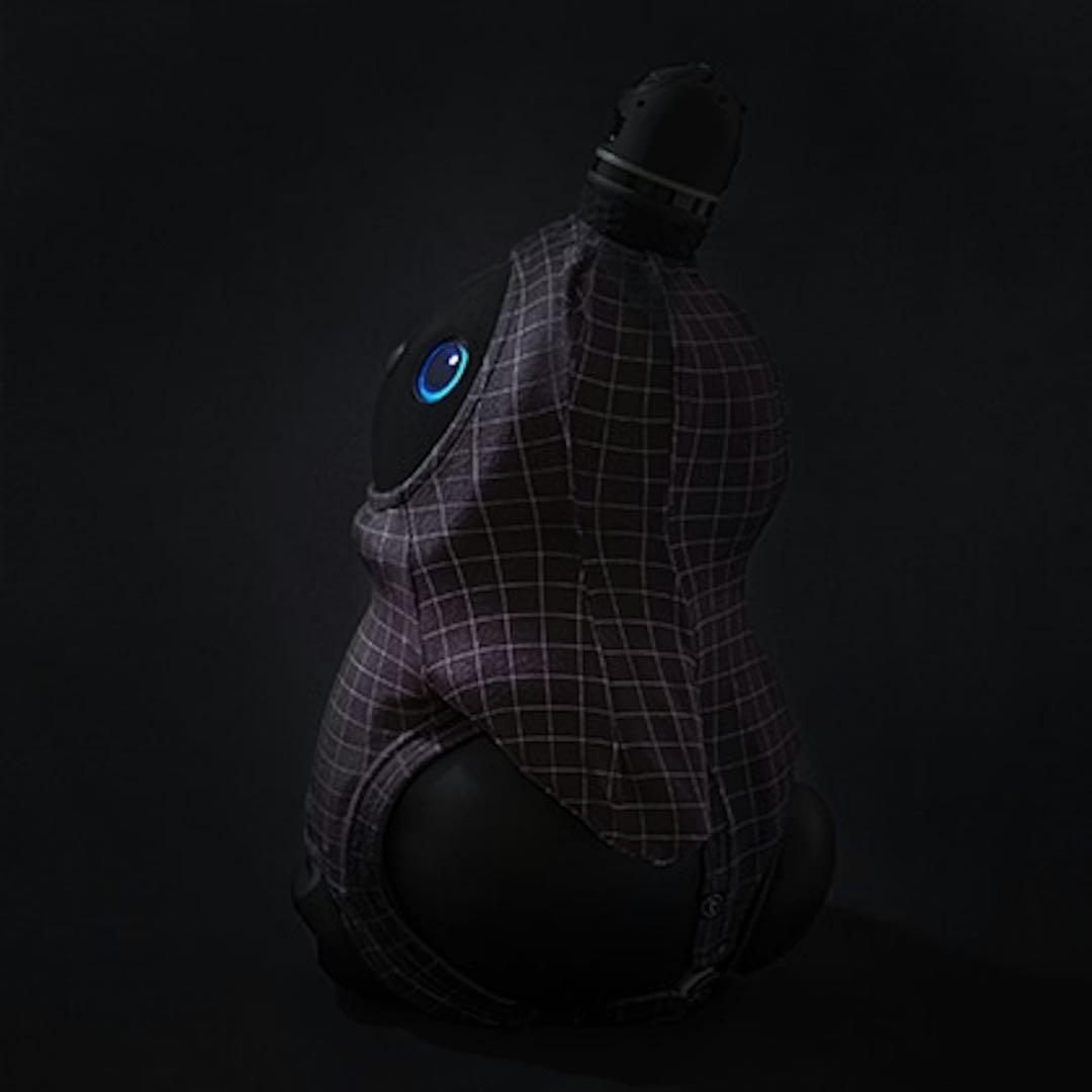 【新品未開封】LOVOT ベースウエア フラグメントチェックパターンウエア