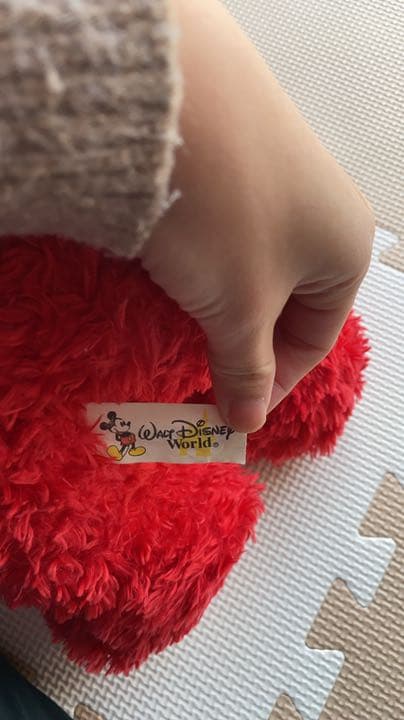 WDW2003年バレンタインダッフィー