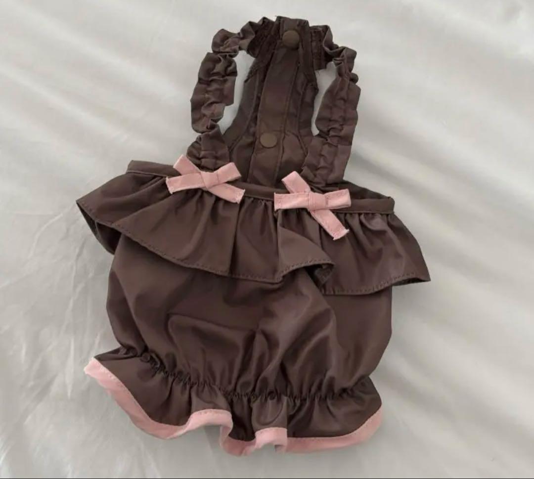 『匿名発送』COZYROSYDAY bag cocoa bustier セット