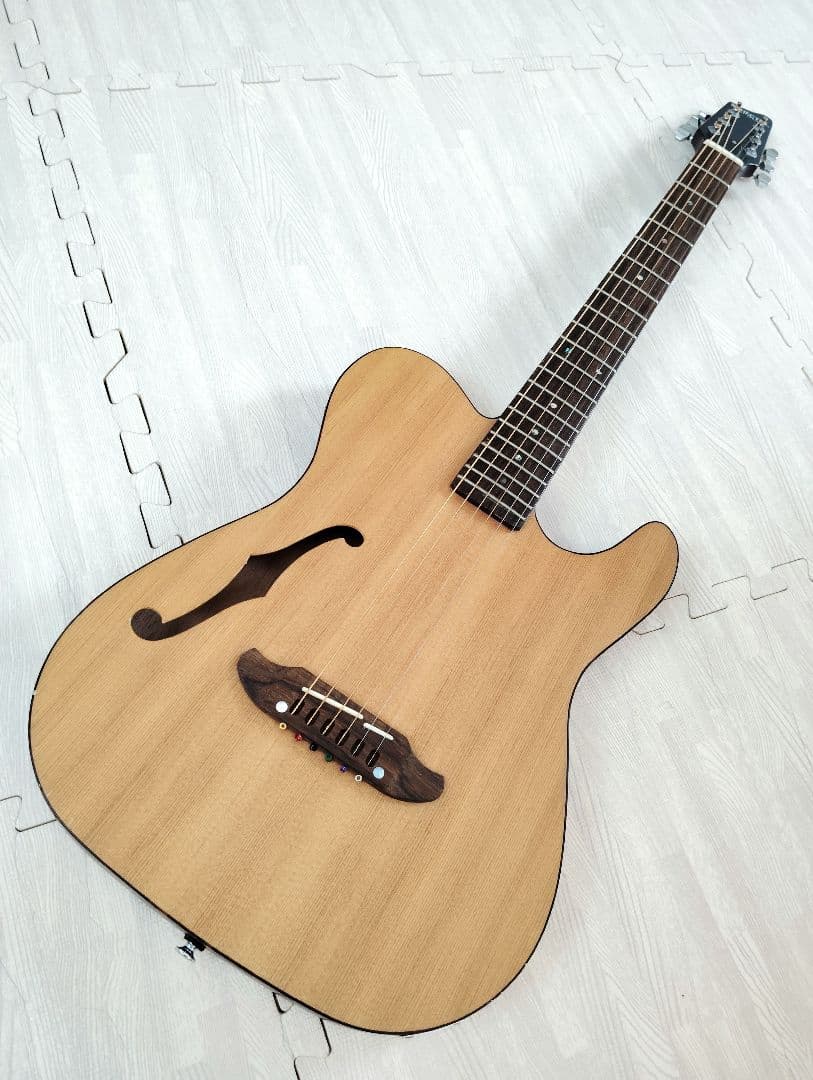 シェクター エレアコ OL-FL ナチュラル テレキャスタイプ SCHECTER