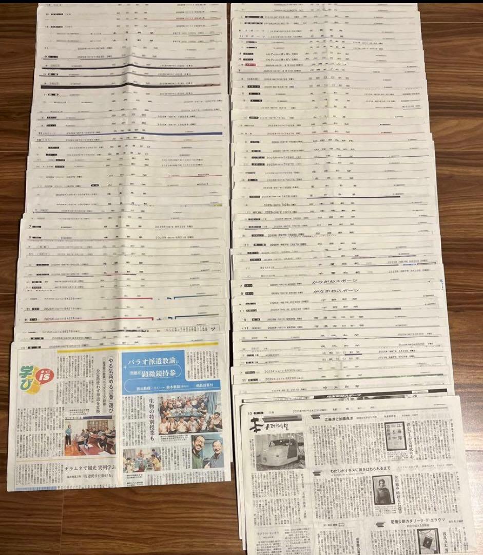 OVER THE SAME SKY 全95紙面　FGO　新聞　コンプリ