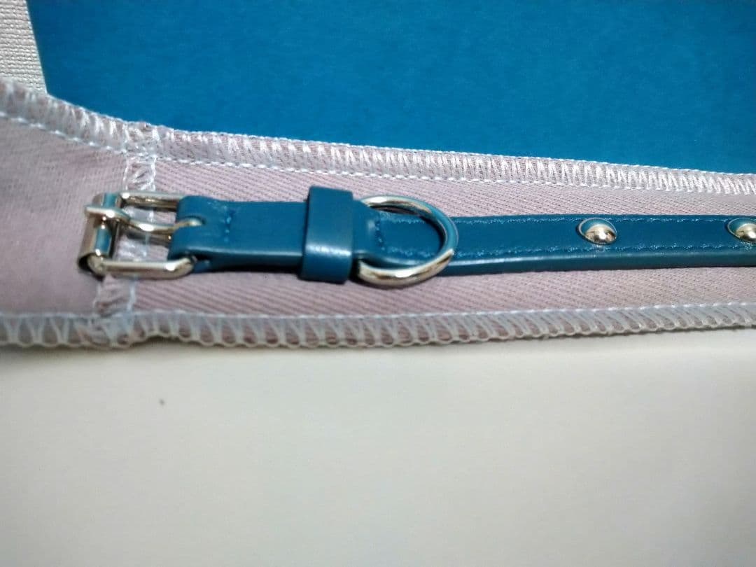 (新品未使用)クリストフル 首輪 プレゼント◎