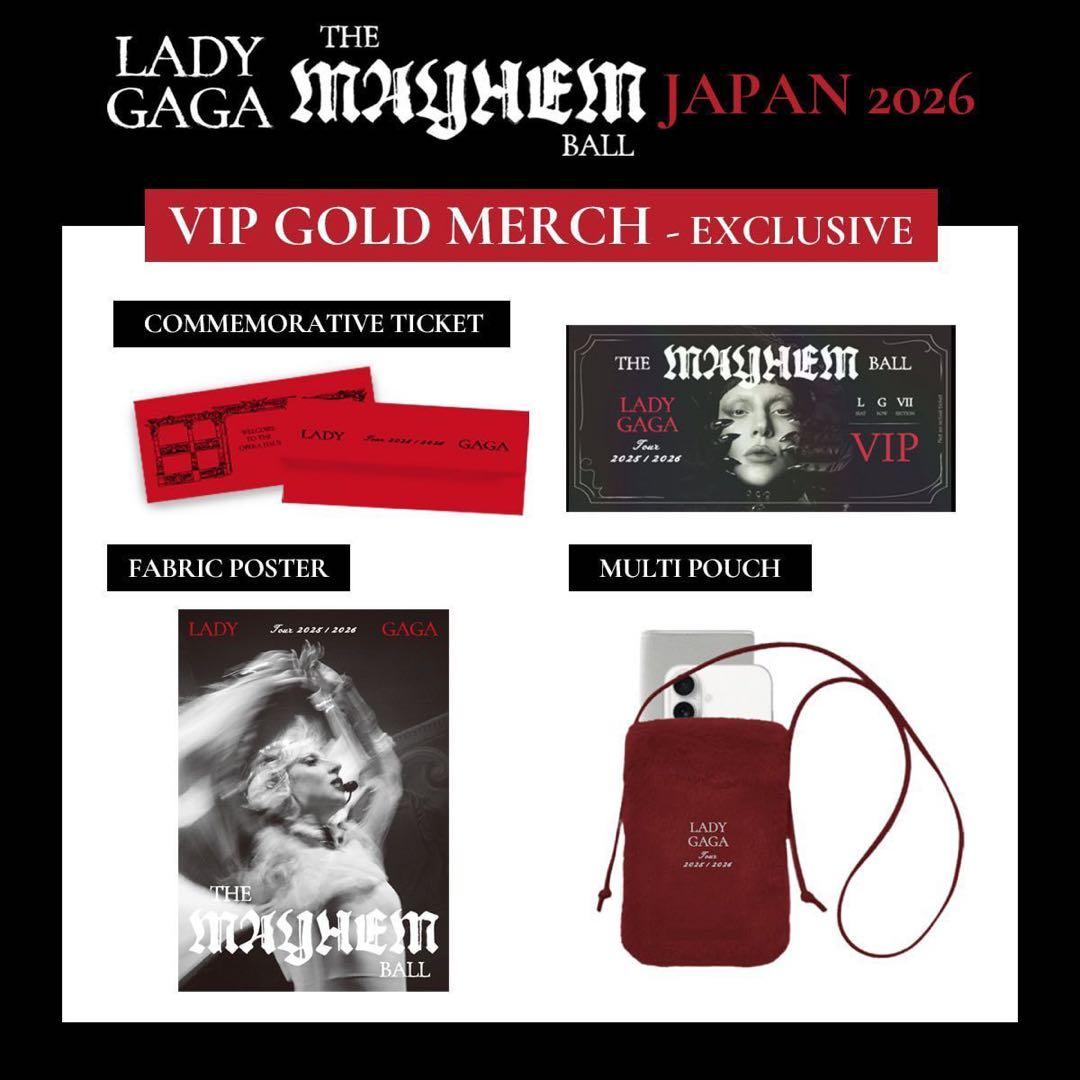 レディ　ガガ　LADY GAGA GOLD VIP グッズ　フルセット