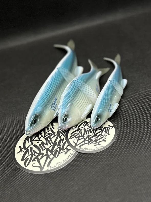 ルアー・フライ ICE 2025 LIMITED COLOR BOX