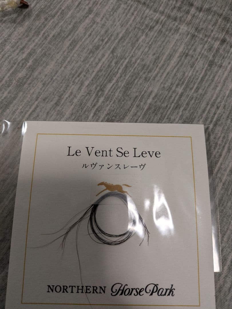 ルヴァンスレーヴ　たてがみ