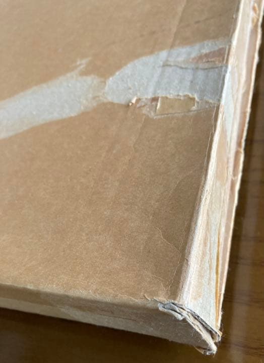 アンソニー・キャセイ「ハワイアンシルエット」