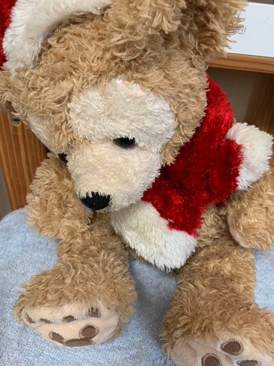 初期ダッフィー　クリスマスモデル