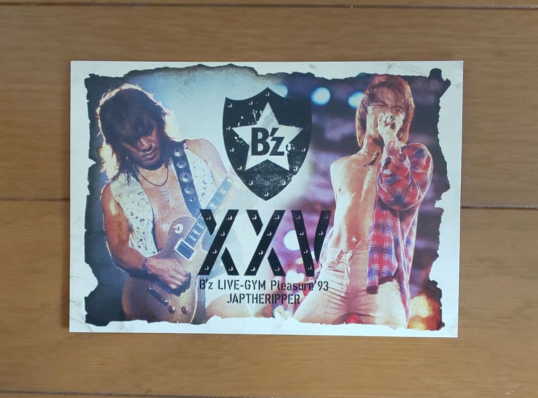 B'z 稲葉浩志着用モデル JAP THE RIPPER ネルシャツL