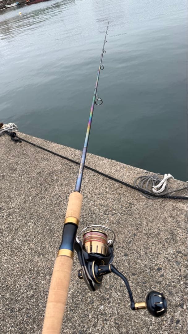 本物買いたい方必見　ワールドシャウラリミテッド　2983