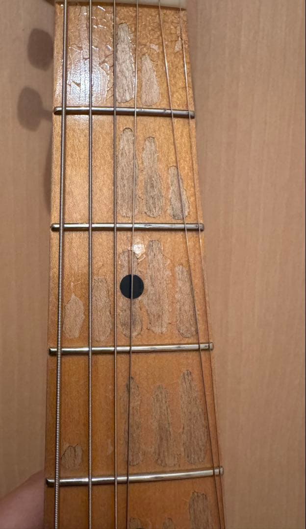 Navigator N-ST-ALM RELIC スポットモデル