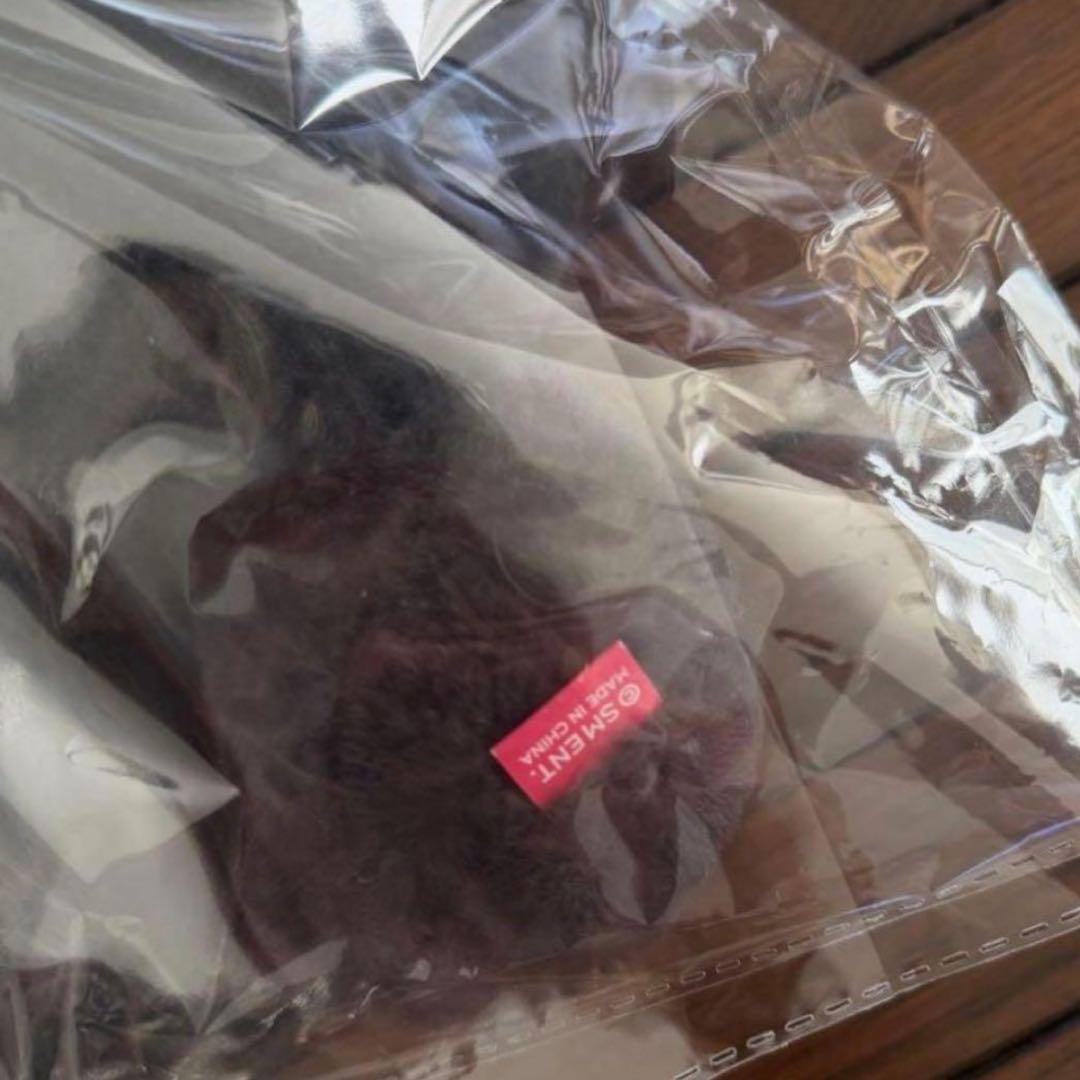 NCT WISH ソウルコン リク ぬいぐるみ キャラクターバッグ　トレカ付き