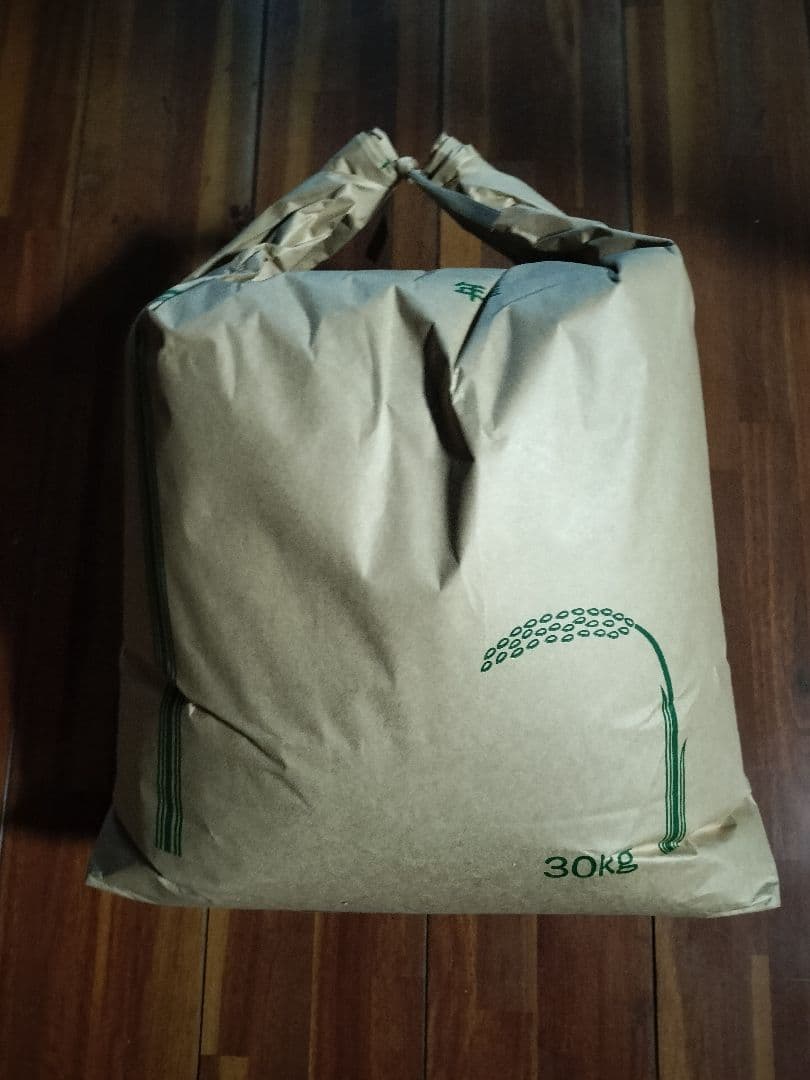 令和7年産 キヌヒカリ 玄米20kg