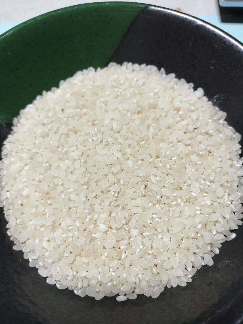 令和7年産 キヌヒカリ 玄米20kg