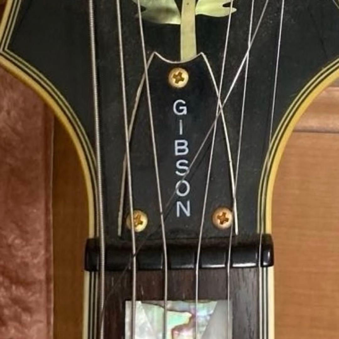 Epiphone GIBSON　Sheraton IIセミアコ専用ケースジャンク