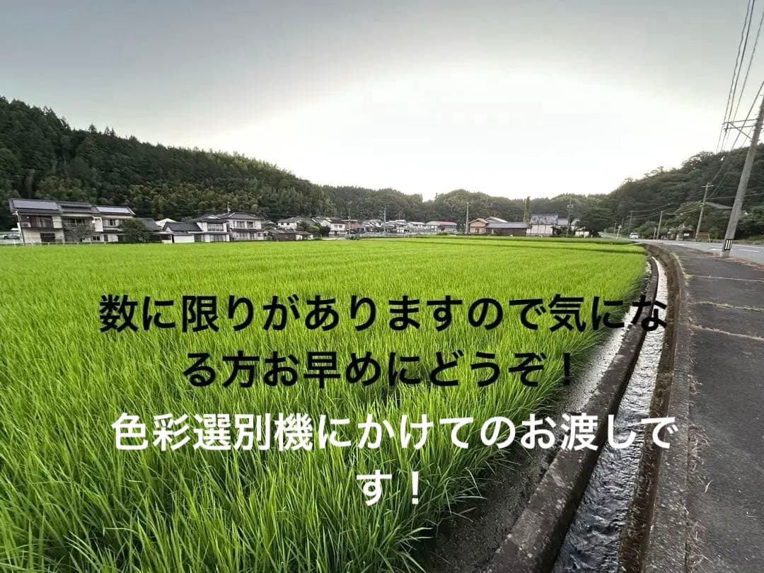 日田産米(7年度産)