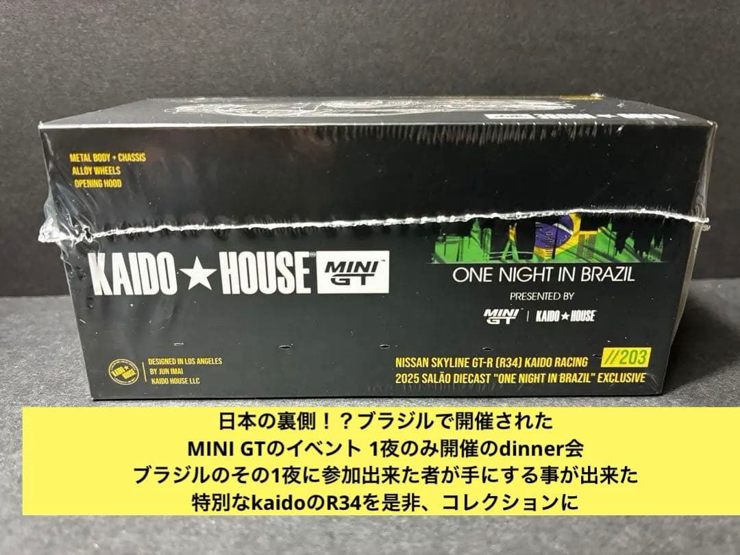 スカイライン GT-R R34 kaido house 街道ハウス　ブラジル