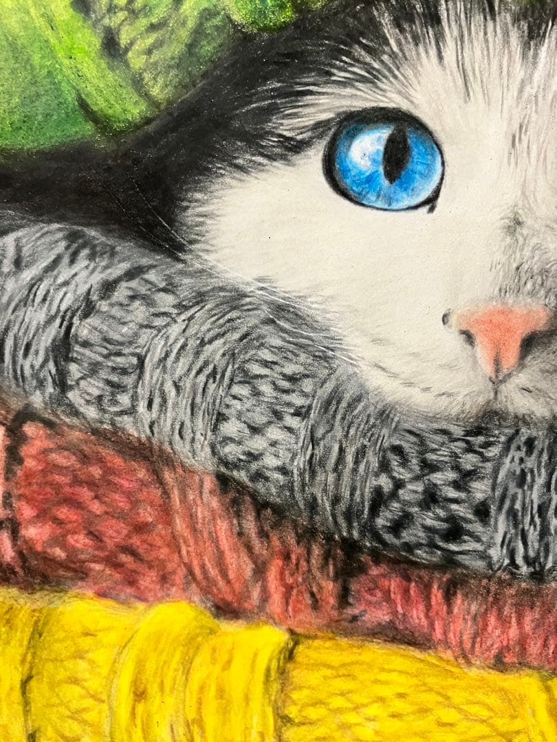 もふもふ特等席 色鉛筆画