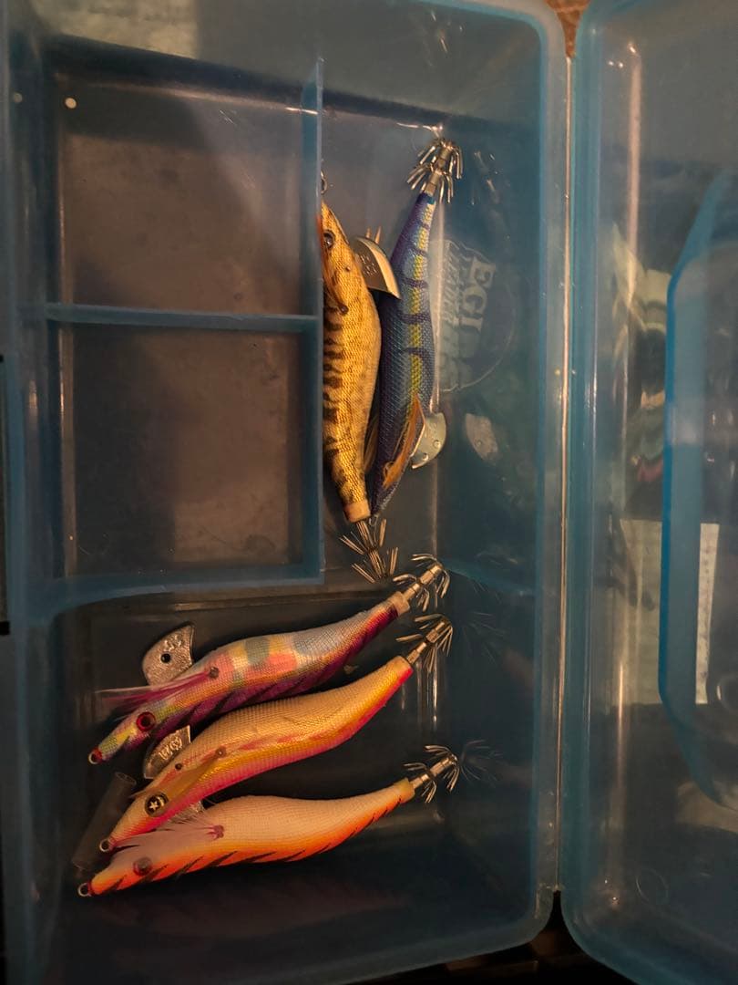 エギングセット