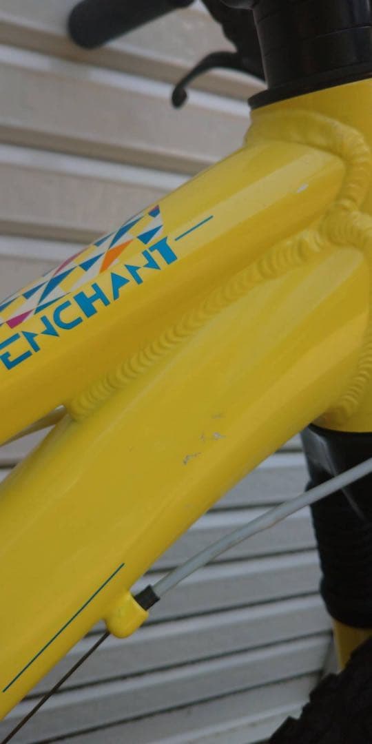 【希少】GIANT Liv マウンテンバイク 20インチ サスペンション付き