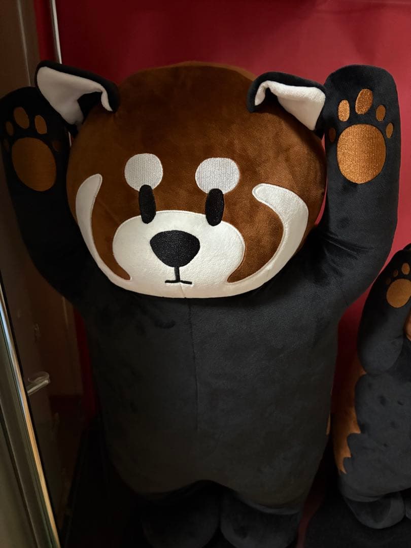 イカク　ぬいぐるみ　70cm グラニフ　graniph ikaku