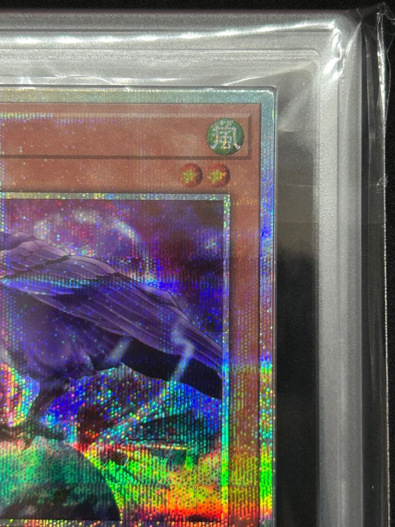 【ARS9】八汰鳥 「 プリズマティックシークレット」遊戯王 上位賞