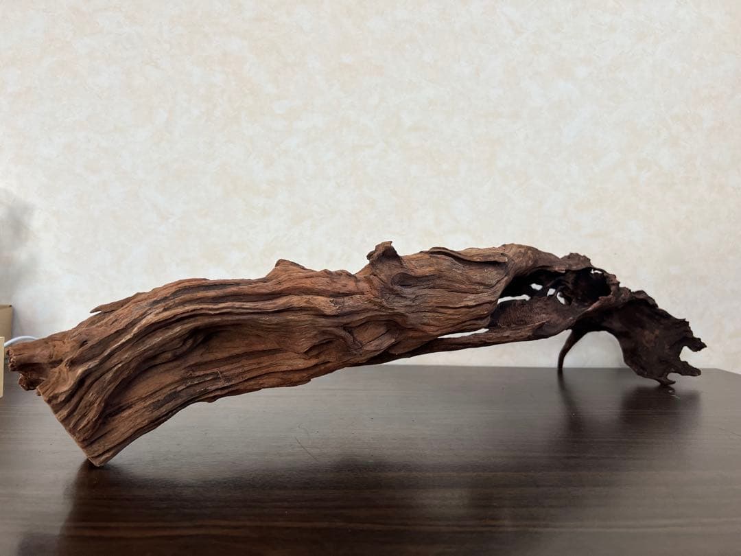 HX-026 流木　ホーンウッド　マシンガンウッド　アクアリウム　ブランチウッド