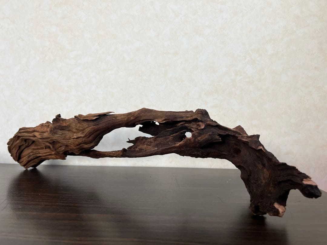 HX-026 流木　ホーンウッド　マシンガンウッド　アクアリウム　ブランチウッド