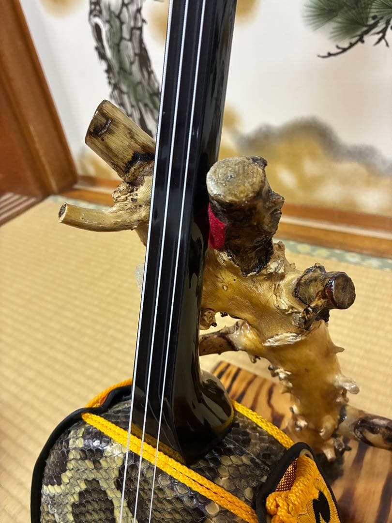 沖縄三線　島黒木！島クルチ！江戸ユナー型！本蛇皮一枚張り！