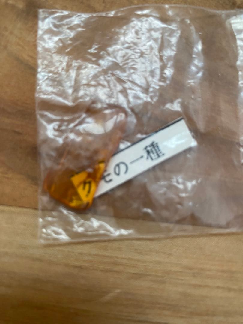 琥珀　虫入り