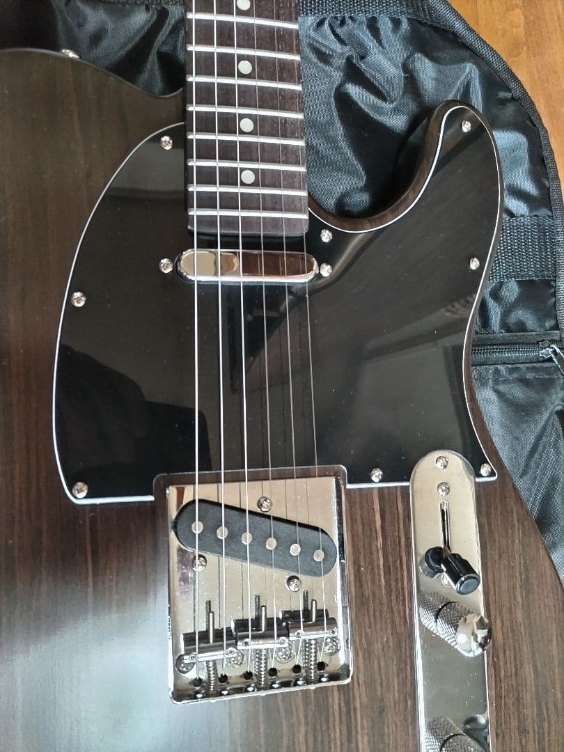 Bacchus エレキギター ダークウッド