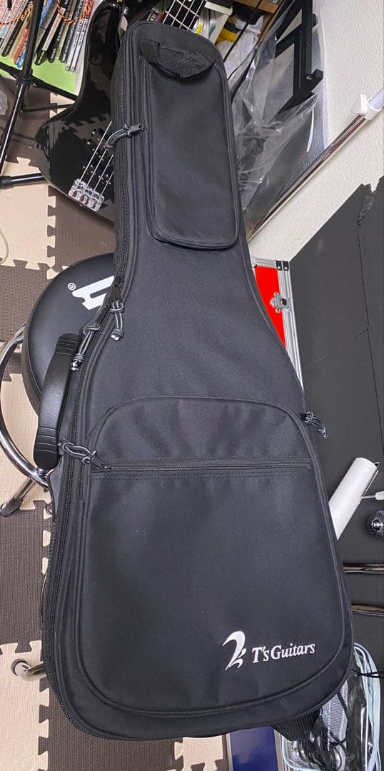 ギター TS Guitars ST-22 Custom black mat