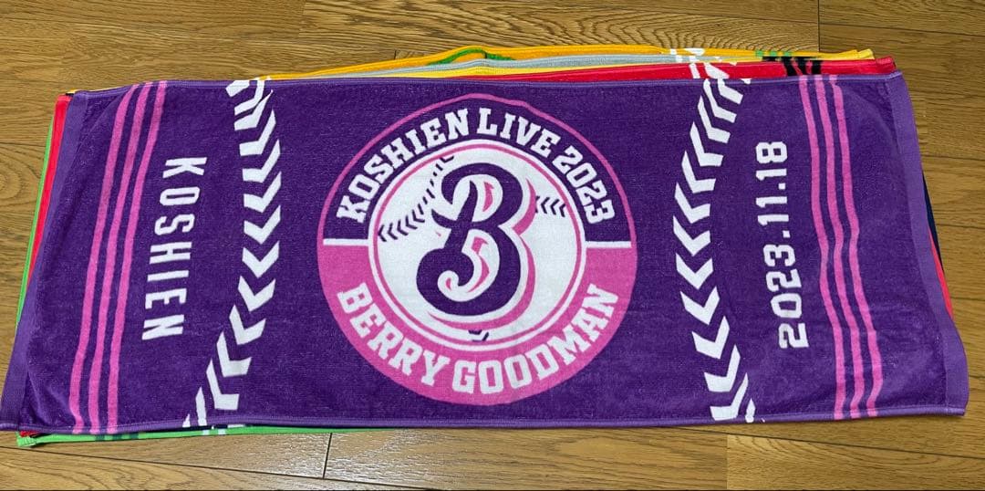 BERRY GOODMAN ベリーグッドマン　ツアーグッズ　タオル甲子園　17枚