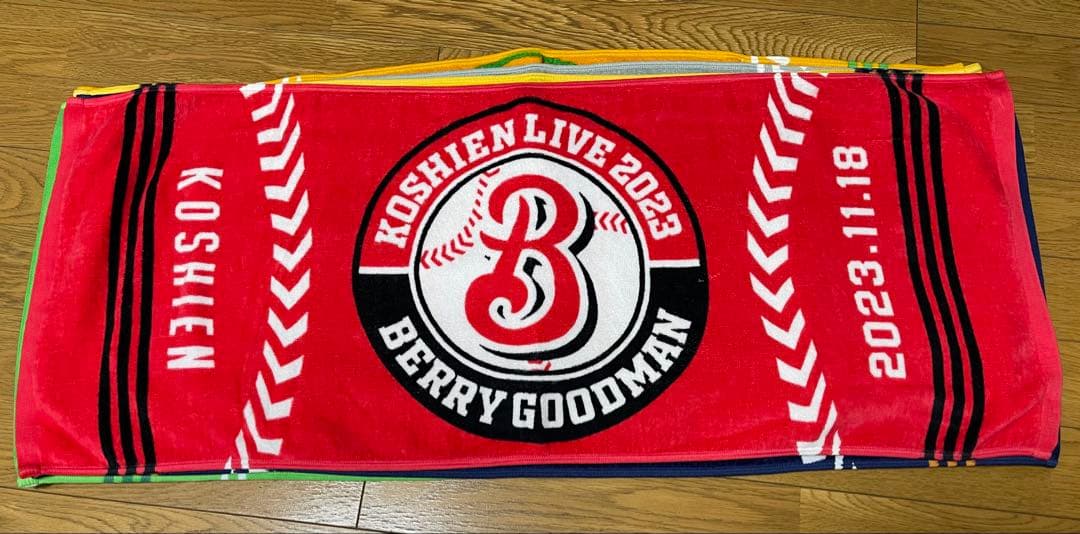 BERRY GOODMAN ベリーグッドマン　ツアーグッズ　タオル甲子園　17枚