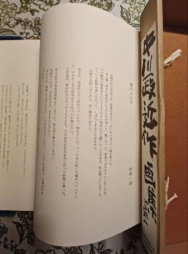 【特別限定版】中川一政『近作画集　第一』