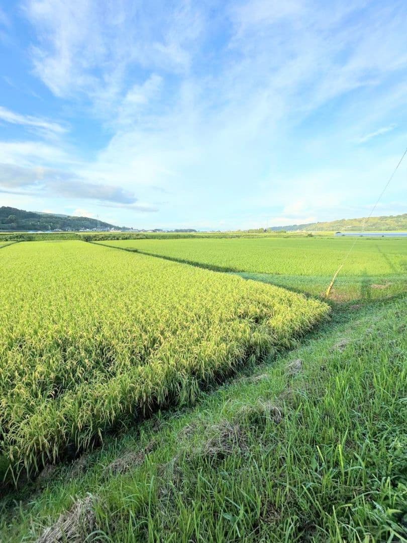 R7年 自然栽培米 2品種食べ比べセット10kg（5kg×2）玄米