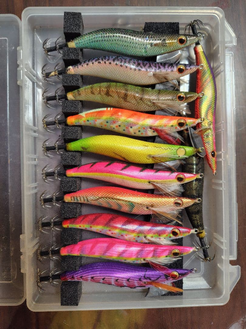 1月 限定価格⚠️‼️値下げ、エバーグリーン　エギ番長　エギング引退セット‼️