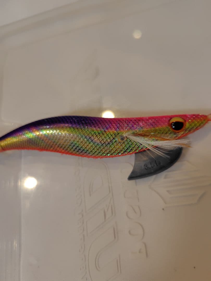 1月 限定価格⚠️‼️値下げ、エバーグリーン　エギ番長　エギング引退セット‼️