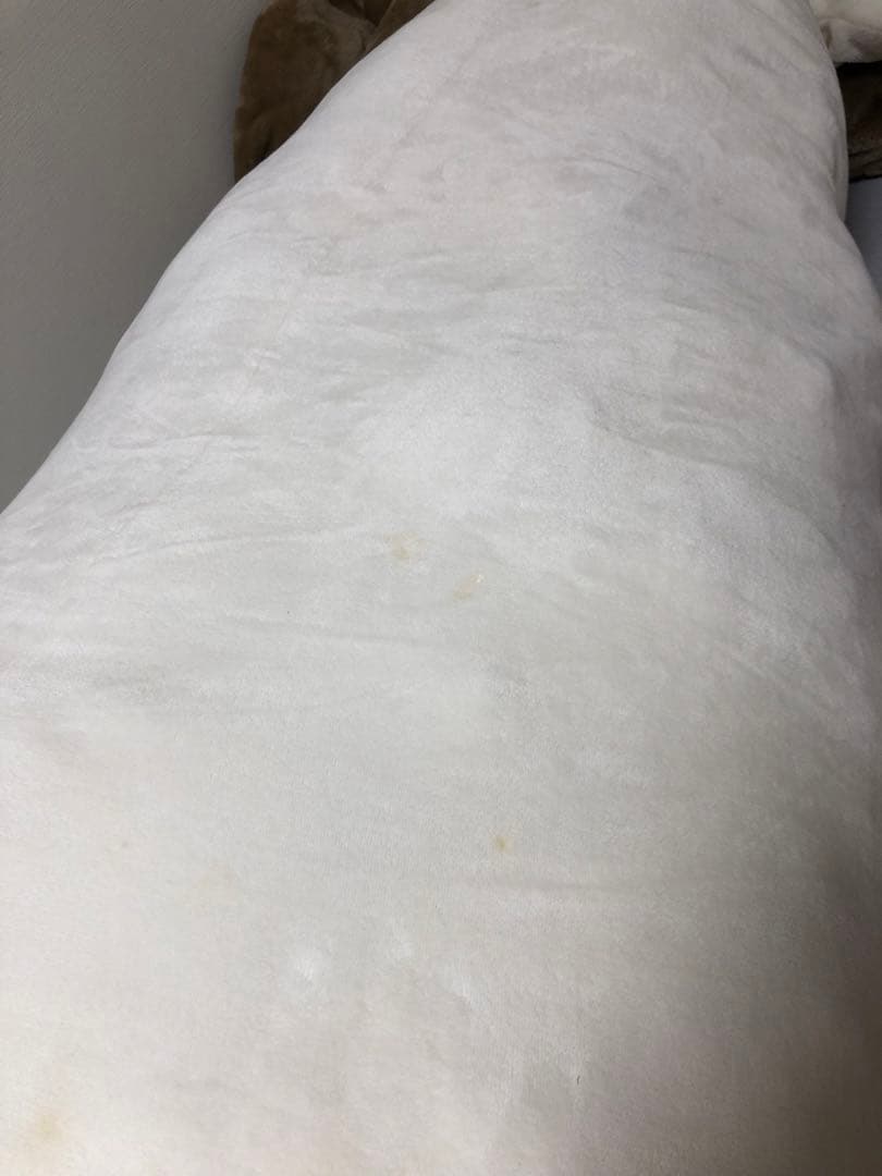 20周年限定　しろたん　ぬいぐるみ　2m