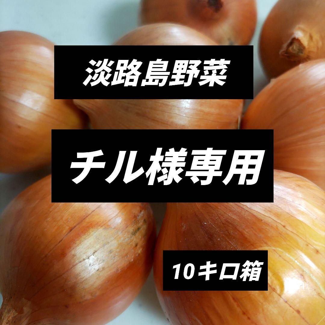 淡路島産野菜10キロ箱